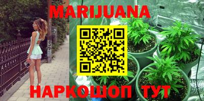 индика Новокубанск