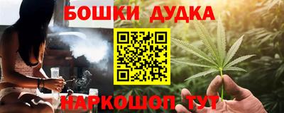 индика Новокубанск