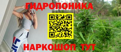 Альфа ПВП Новозыбков