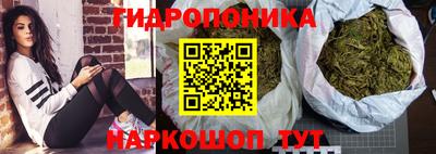 индика Новокубанск