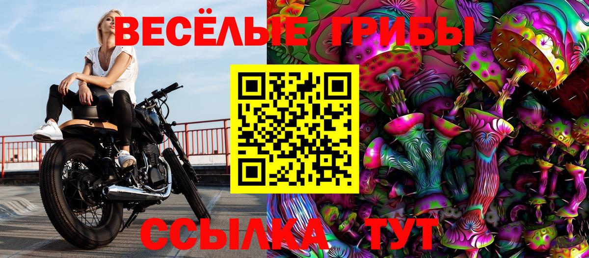 Псилоцибиновые грибы Psilocybine cubensis Сергиев Посад